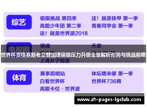 世界杯资格赛新老交替加速保级压力升级全景解析形势与挑战前瞻