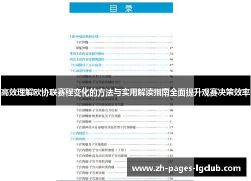 高效理解欧协联赛程变化的方法与实用解读指南全面提升观赛决策效率